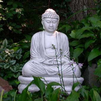 buddha i trädgård